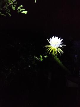 image 08
